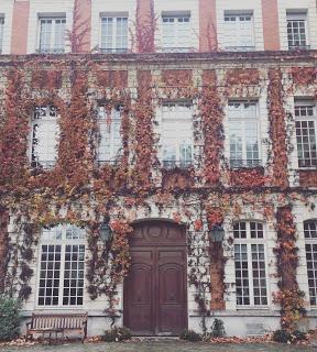 L’Actu Food et franco-allemande en novembre L’Actu Food et franco-allemande en novembre