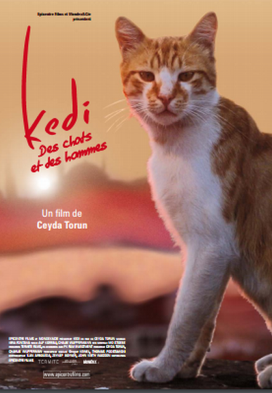J’ai vu le documentaire « Kedi – des chats et des hommes » de Ceyda Torun