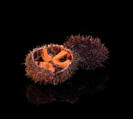 Trouvez le parfait restaurant de Haute mer