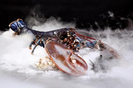 Trouvez le parfait restaurant de Haute mer