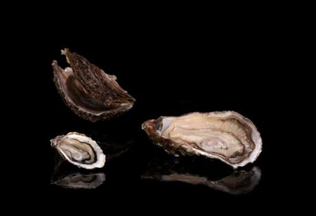 Trouvez le parfait restaurant de Haute mer