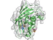 ANTIBIORÉSISTANCE voie plasmides pour bloquer gènes résistance
