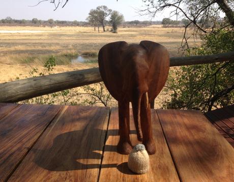 Namibia – elephants