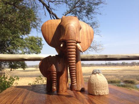 Namibia – elephants