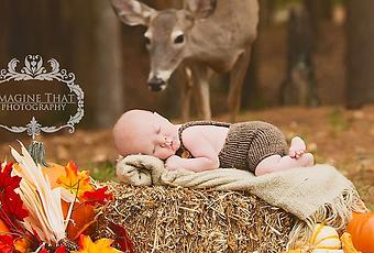 La Biche Et Le Bebe Louisiane Paperblog