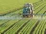 Le glyphosate est un herbicide total foliaire systémique