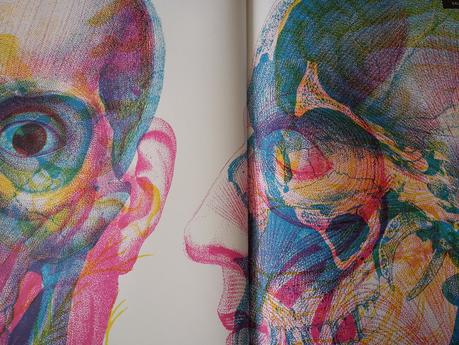 Humanissime. Kate DAVIES, Rachel WILLIAMS et Carnovsky – 2017 (Dès 8 ans)