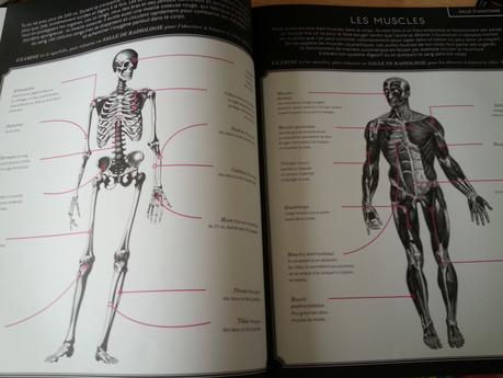 Humanissime. Kate DAVIES, Rachel WILLIAMS et Carnovsky – 2017 (Dès 8 ans) Humanissime. Kate DAVIES, Rachel WILLIAMS et Carnovsky – 2017 (Dès 8 ans)