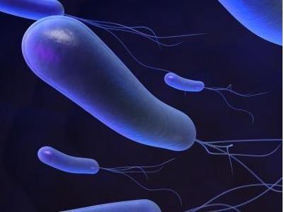 MICROBIOTE, ulcères, cancer et MICI : Mais comment tuer Helicobacter sans tuer les bonnes bactéries