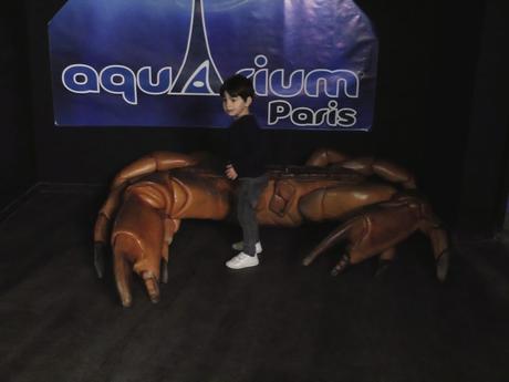 aquarium-paris-6