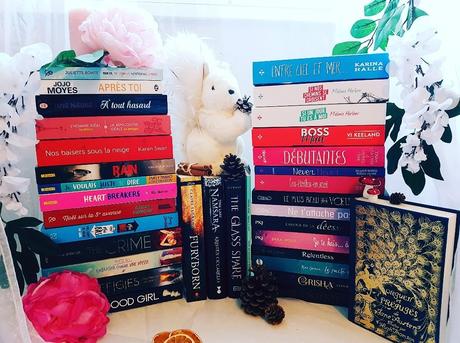 Mon bilan du mois (n°11)