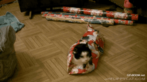 [Blabla]Christmas is coming : Idées cadeaux Livresques pour les « Cats addict »