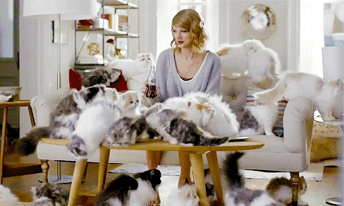 [Blabla]Christmas is coming : Idées cadeaux Livresques pour les « Cats addict »