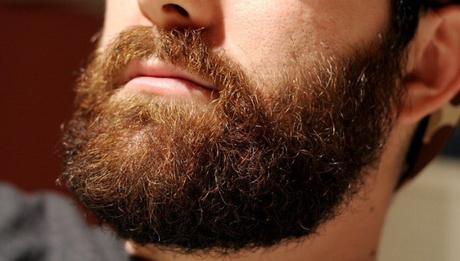 Comment éviter les pointes fourchues de barbe Comment éviter les pointes fourchues de barbe