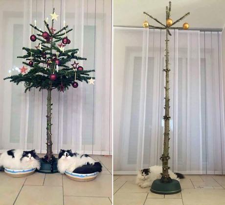 Ces gens ont trouvé une façon géniale de protéger leur sapin de Noël de leur animal