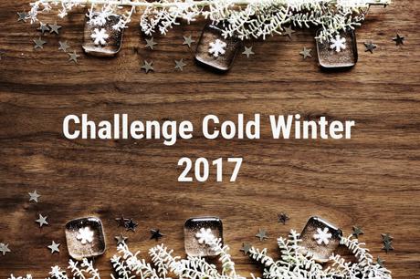 Ma participation au Challenge Cold Winter 2017