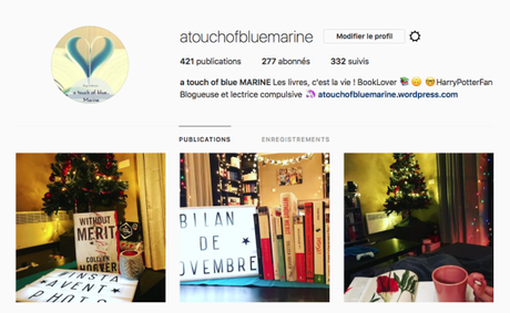 [Bilan mensuel] • Novembre • 2017/11