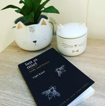 [Bilan mensuel] • Novembre • 2017/11