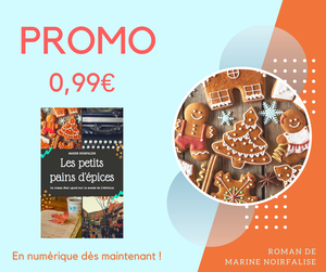 [Bilan mensuel] • Novembre • 2017/11