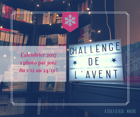 [Bilan mensuel] • Novembre • 2017/11