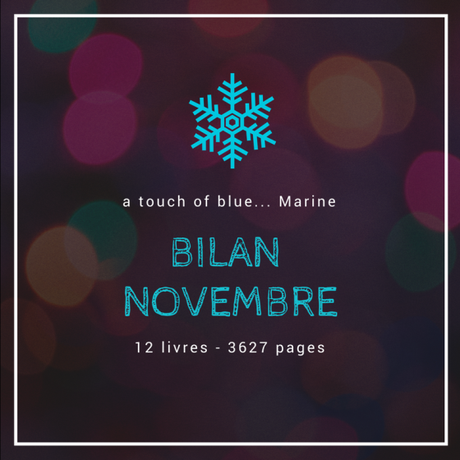 [Bilan mensuel] • Novembre • 2017/11
