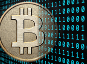 Bitcoins, monnaie d'avenir singe