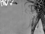 Tristesse joie dans girafes