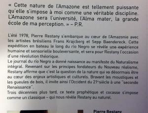 Une disparition – celle de Frans KRAJCBERG