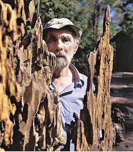 Une disparition – celle de Frans KRAJCBERG