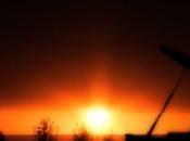 voudrais dire personne