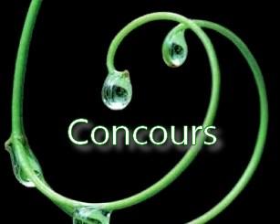 Résultats Concours Heartless de Marissa Meyer