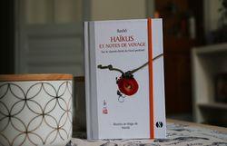 Interview Aurélien de Synchronique Éditions