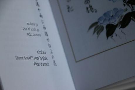 Interview Aurélien de Synchronique Éditions