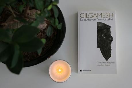 Interview Aurélien de Synchronique Éditions