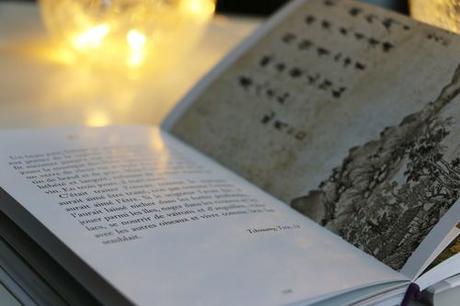 Interview Aurélien de Synchronique Éditions