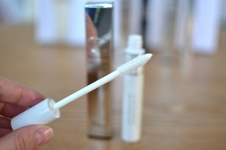 diorshow maximizer 3D