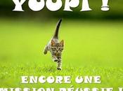 AirBnB vraiment trop méchant avec Mairie Paris