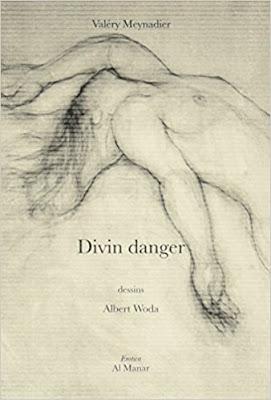 Divin danger de Valéry Meynadier Divin danger de Valéry Meynadier