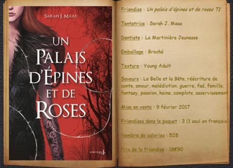 Un palais d'épines et de roses T1 - Sarah J. Maas