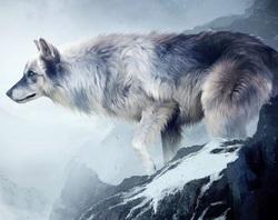 Un palais d'épines et de roses T1 - Sarah J. Maas