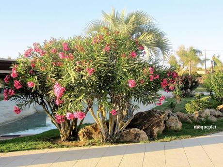 Pays Etranger - Le portugal - notre hôtel Pays Etranger - Le portugal - notre hôtel