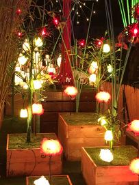 IMG_0807 IMG_0807