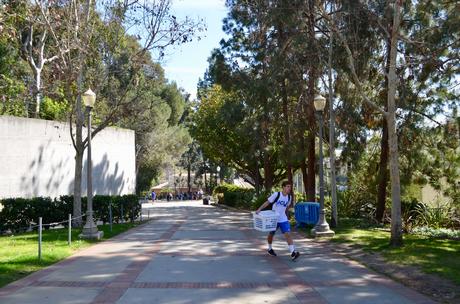 Le campus de UCLA