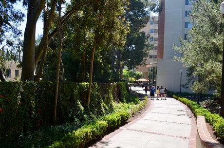 Le campus de UCLA