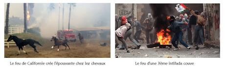 LE FEU COMME IL COURT... LE FEU COMME IL COURT...