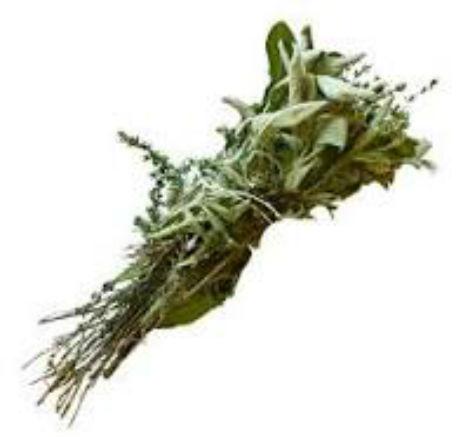 Les herbes aromatiques (1)
