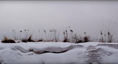 Frost : voyage de noces en enfer