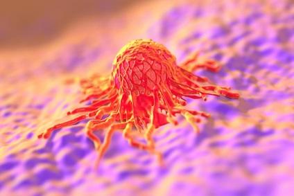 CANCER : Les inhibiteurs de kinases élargissent leur spectre d’efficacité CANCER : Les inhibiteurs de kinases élargissent leur spectre d’efficacité