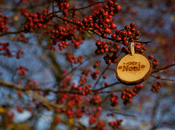 Comment attirer consommateurs pour Noël?