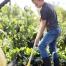 La marque Leborgne a lancé une gamme d'outils de jardinage pour les enfants que les apprentis jardiniers de plus de 3 ans vont pouvoir manier facilement et en toute sécurité.
